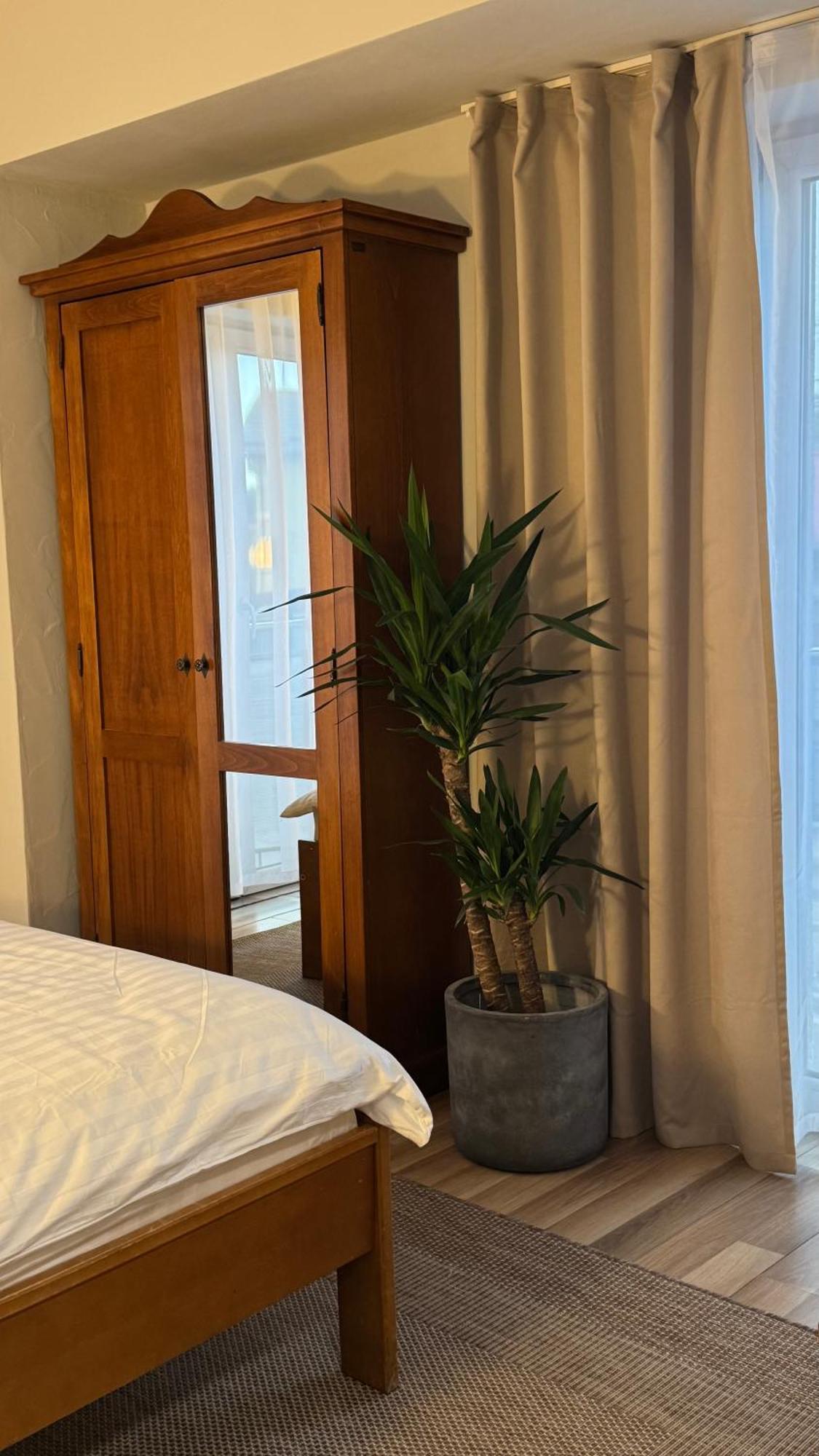 Hotel Lucy Star Cluj-Napoca Esterno foto